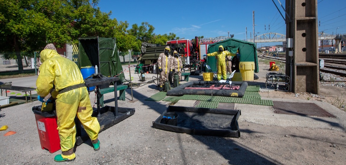 exercício CELULEX’25