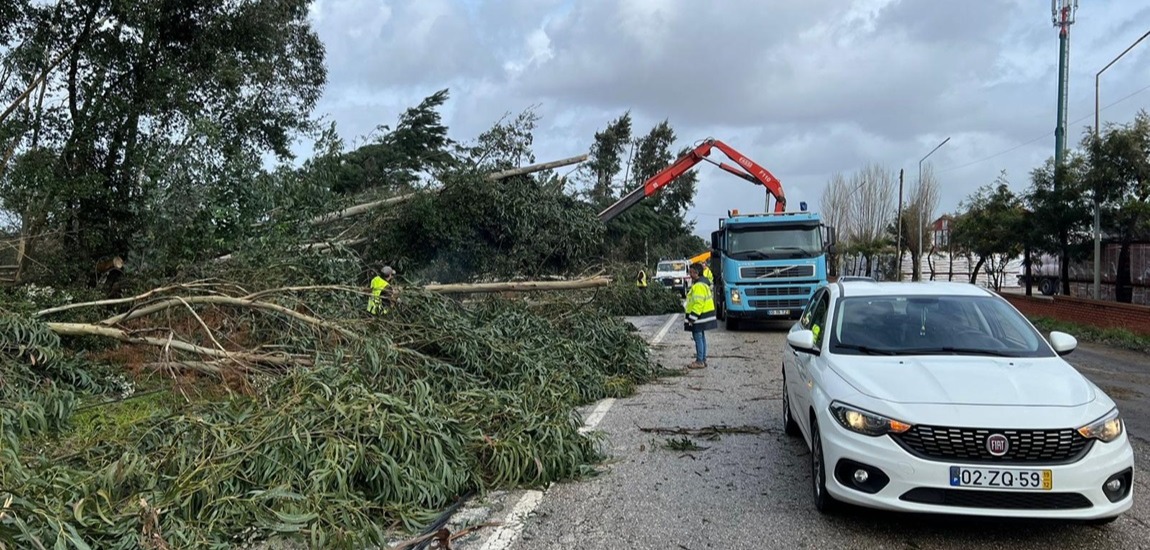 Infraestruturas de Portugal: a força de quem está no terreno em dias de tempestade